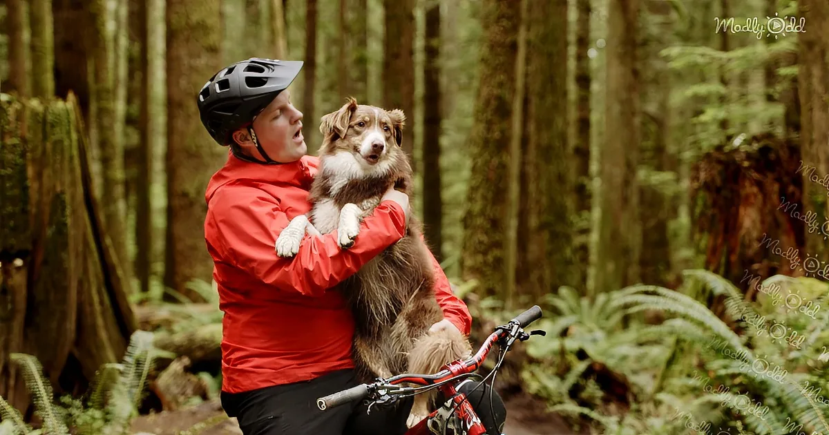 A person in a red jacket and helmet holds a dog while sitting on a bike in a forest.