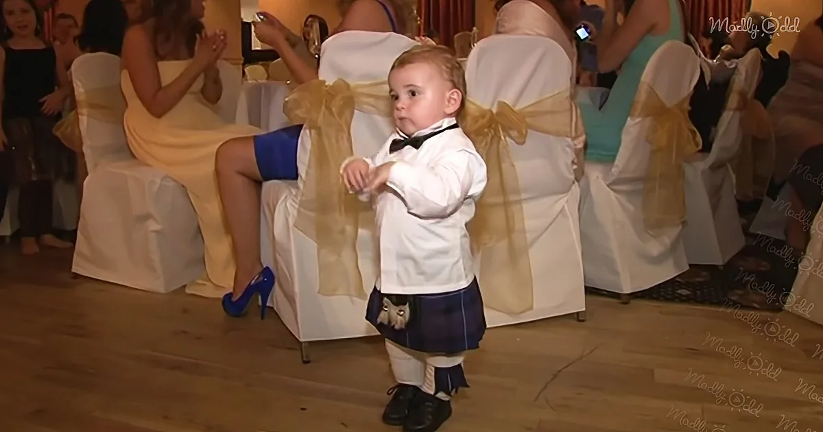 A toddler in a kilt dances on a wooden floor, surrounded by seated guests in formal attire.