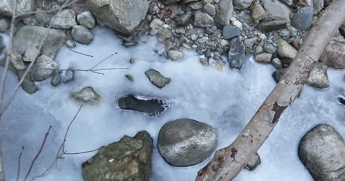 Frozen water with rocks and a log, branches sticking out, and a mix of ice and snow.