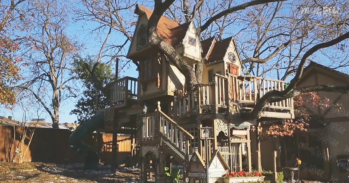 Grandparents Build Massive Treehouse That's Every Kid's Dream Come True