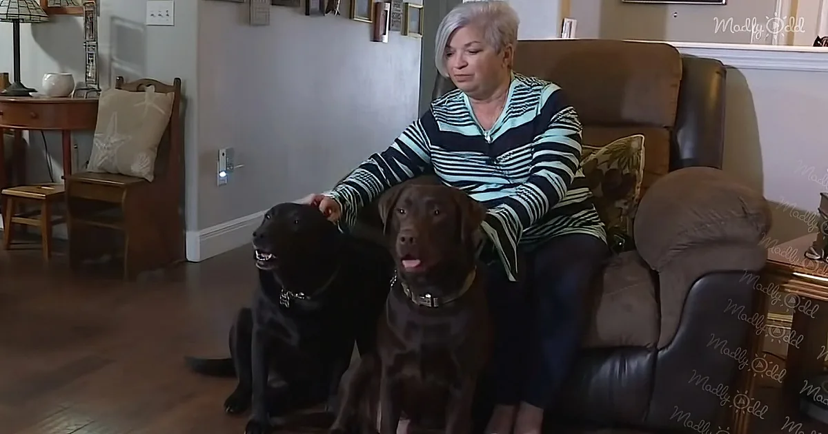 A woman sits on a couch petting two dogs, one black and one brown, in a cozy living room.