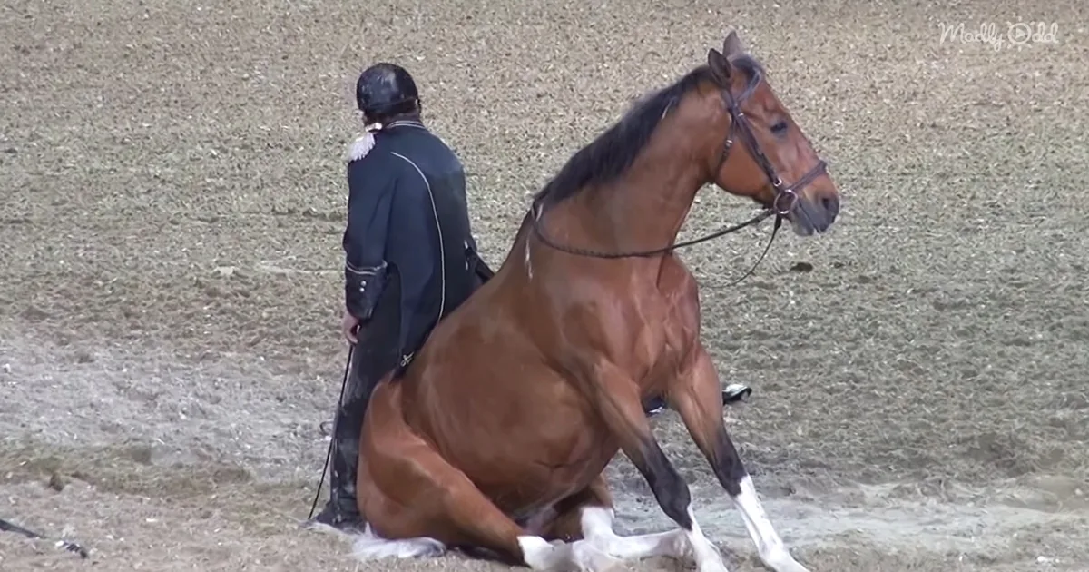 A horse in a rearing position with a rider in a dark uniform standing behind it.