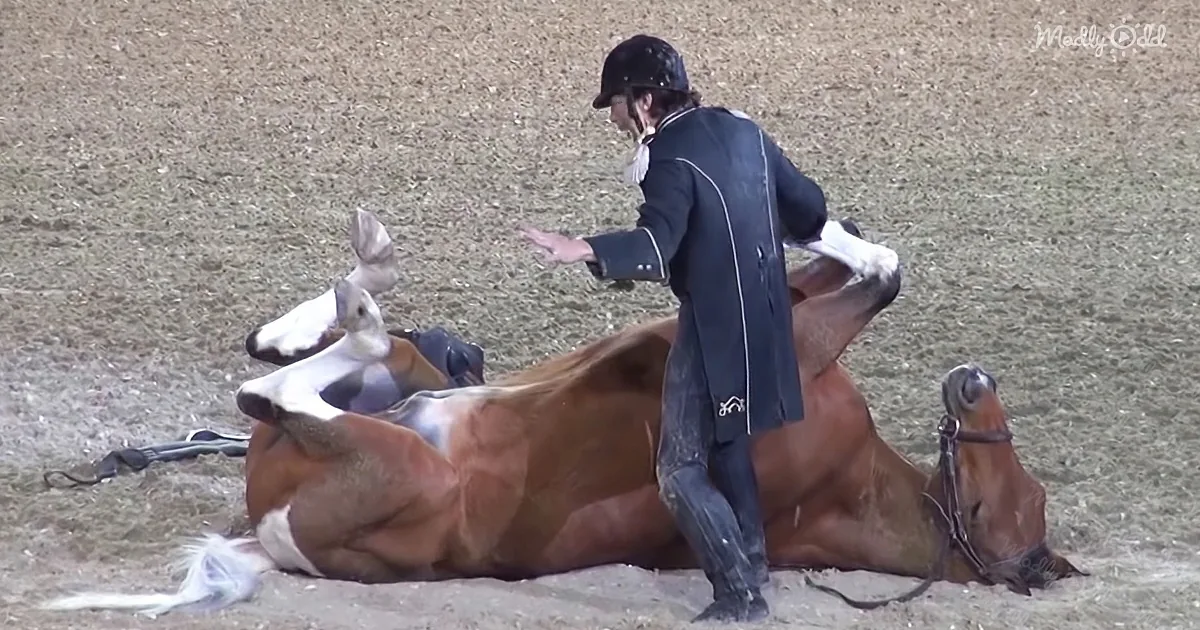 Professional Equestrian Amazes Crowd With Comedic Horse Show
