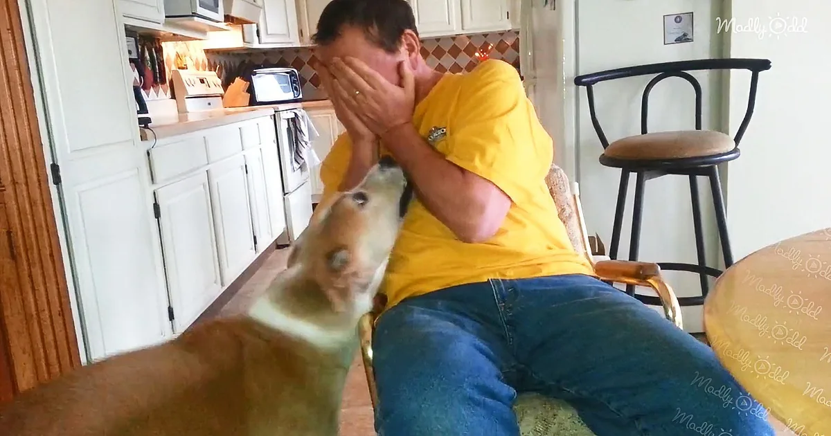 A man in a yellow shirt sits in a chair, covering his face, while a dog looks up at him in a kitchen.