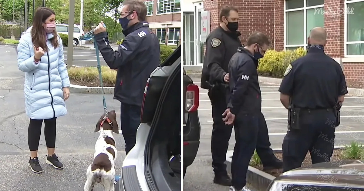 Dog Thief Arrested After Foolishly Agreeing to TV Interview