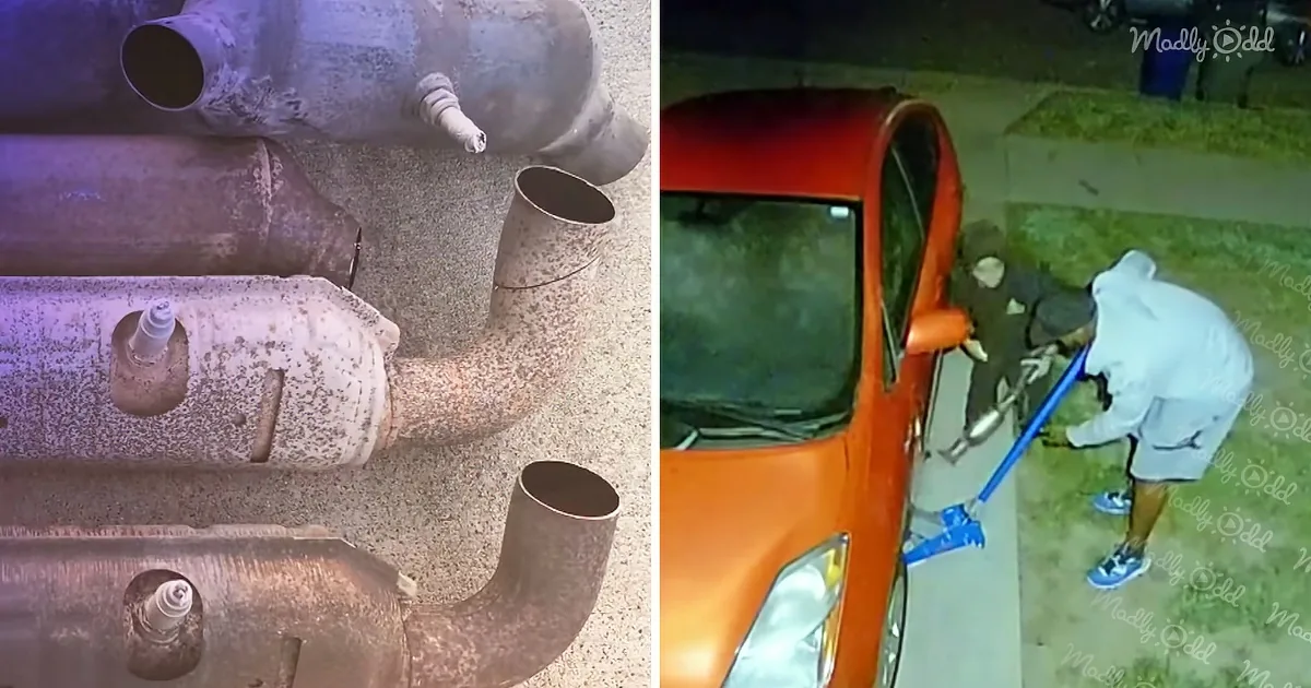 Catalytic Converter Crime Wave Grips the Country (How to Protect Yourself)