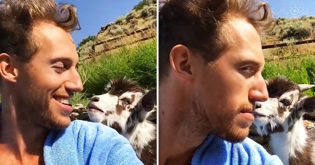 A man in a blue robe smiles and interacts with a goat in a grassy, sunny outdoor setting.