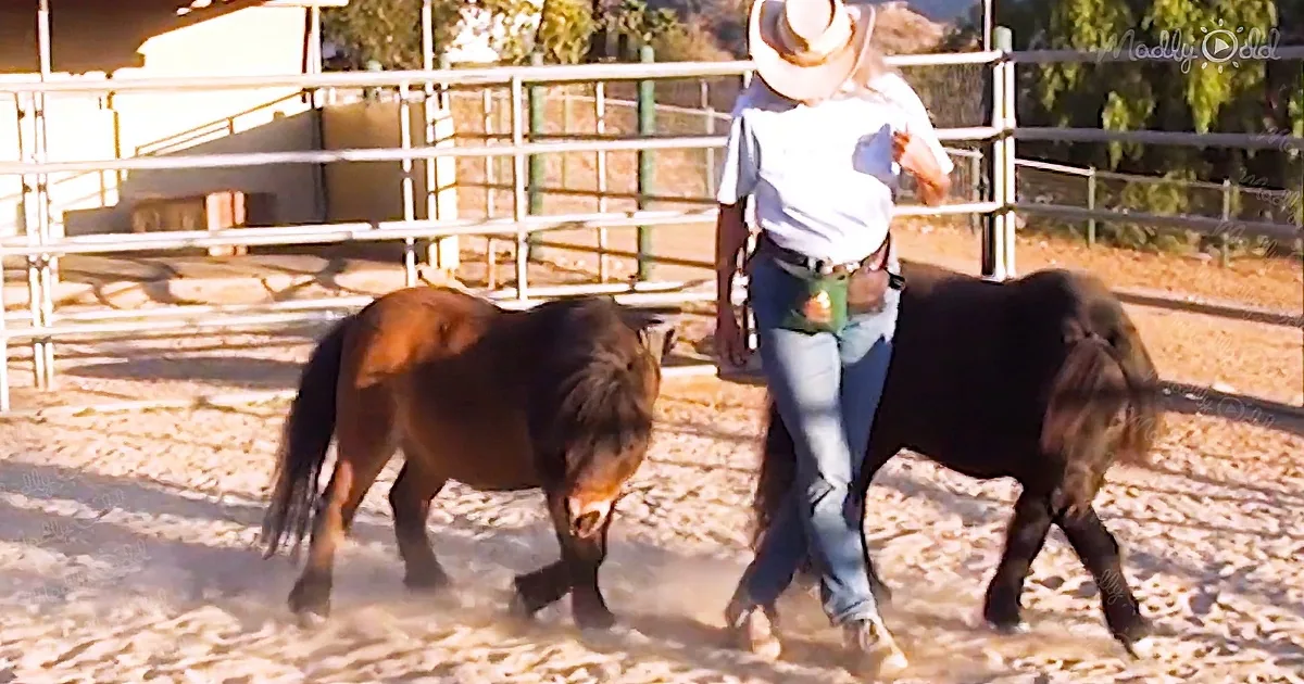 Woman and Her Horses Dance to Blanco's 'The Git Up'