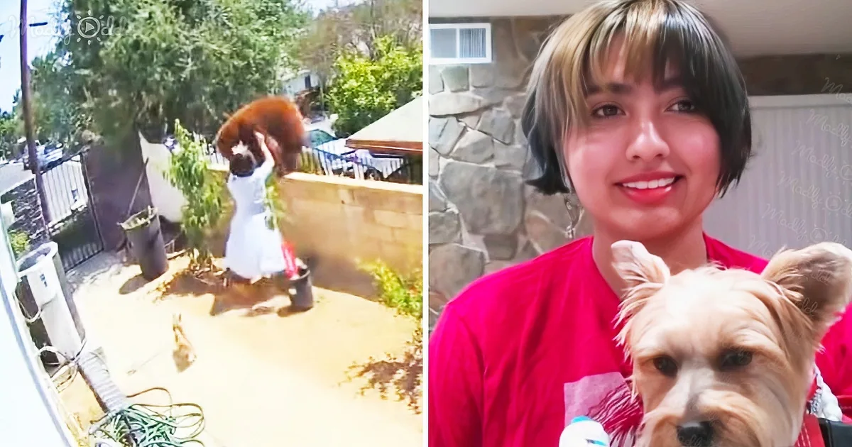 Fearless Teen Protects Her Dogs From Wandering Bear