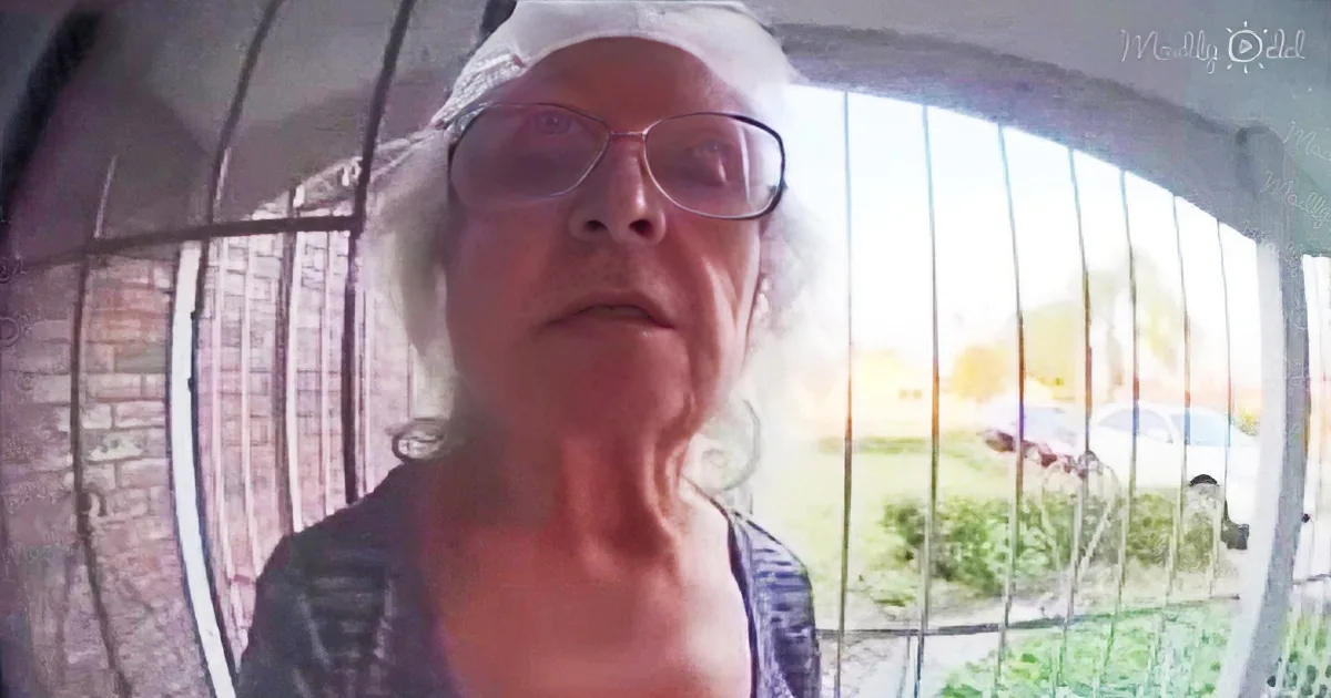 Grandmother invites neighbors over for taco night dinner