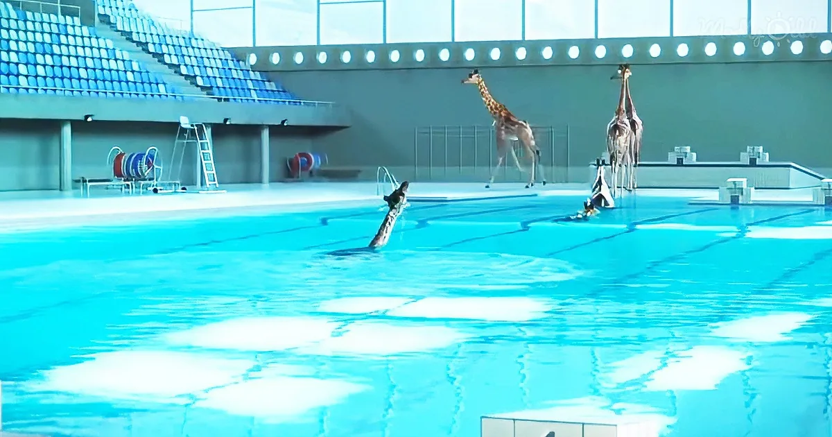 Impressive high diving giraffes will amaze you