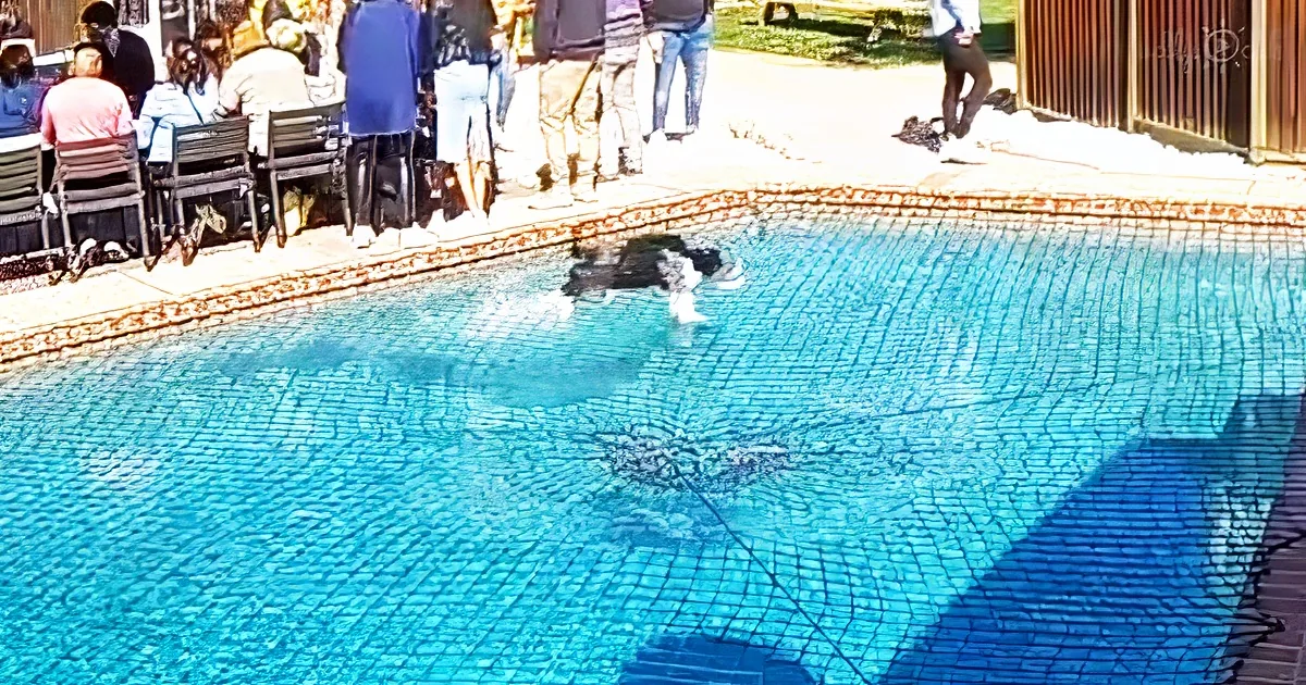 Dog sprinting over the water