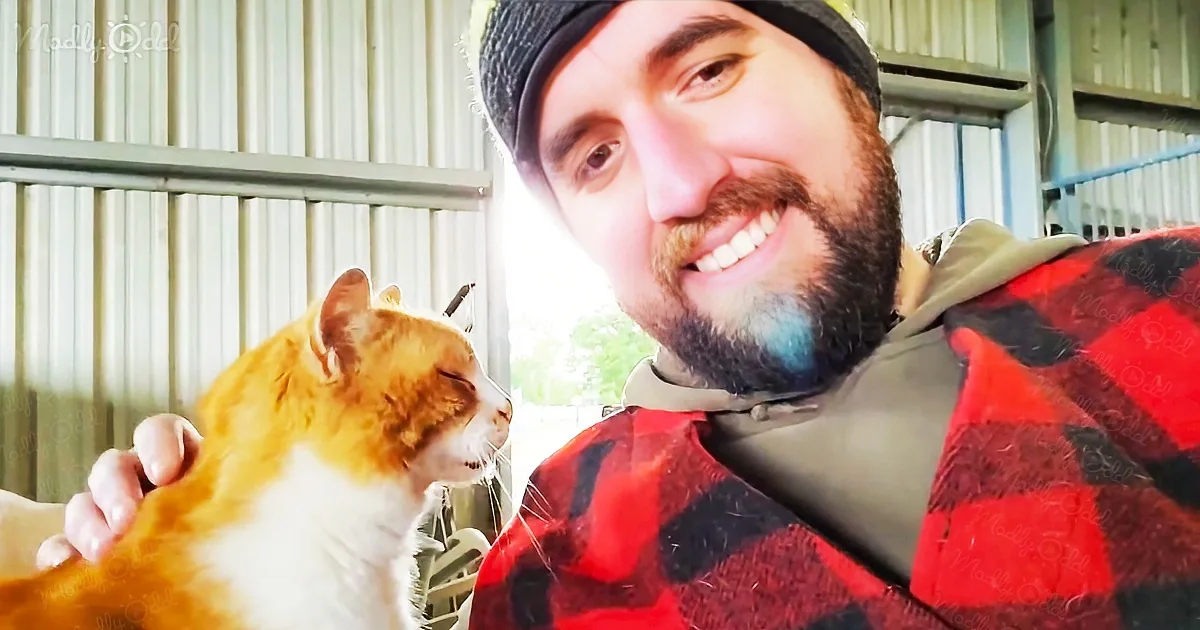 Man spins her cat as part of their game