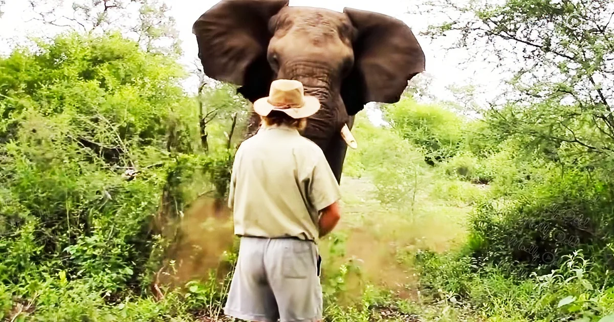 A young boy tries to fight off his sedative