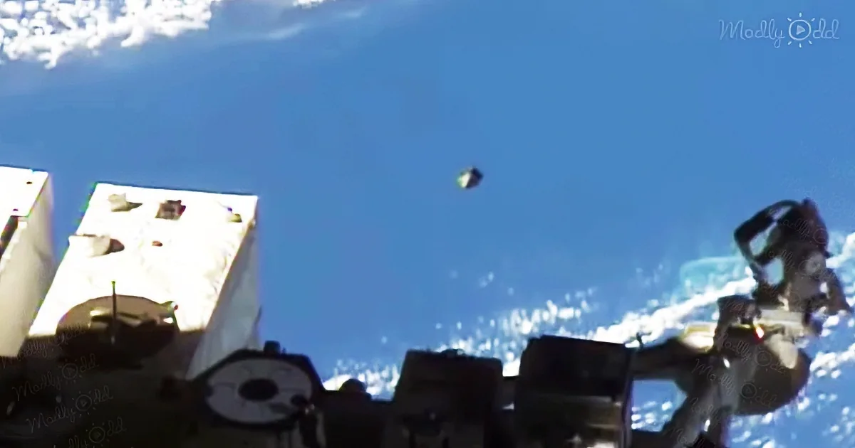 NASA officials puzzled after sighting an alleged UFO