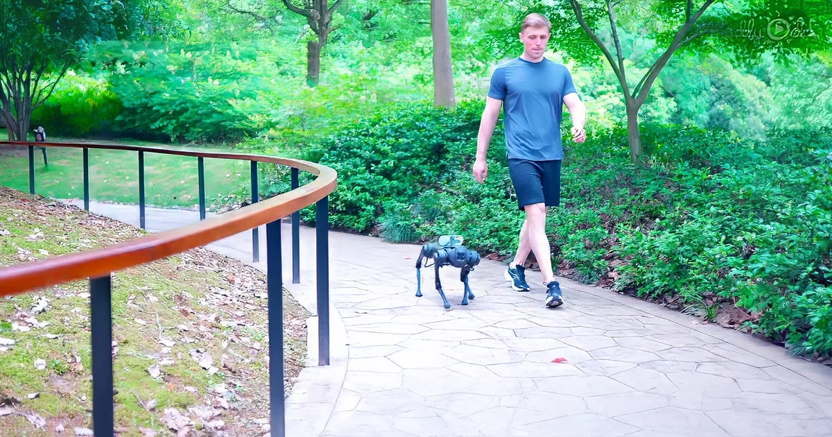 This robot shows a perfect combination of companionship and technology