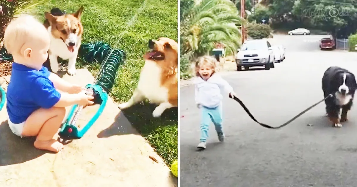A baby plays with a hose, splashing water, while another child runs with a dog on a leash down a street.