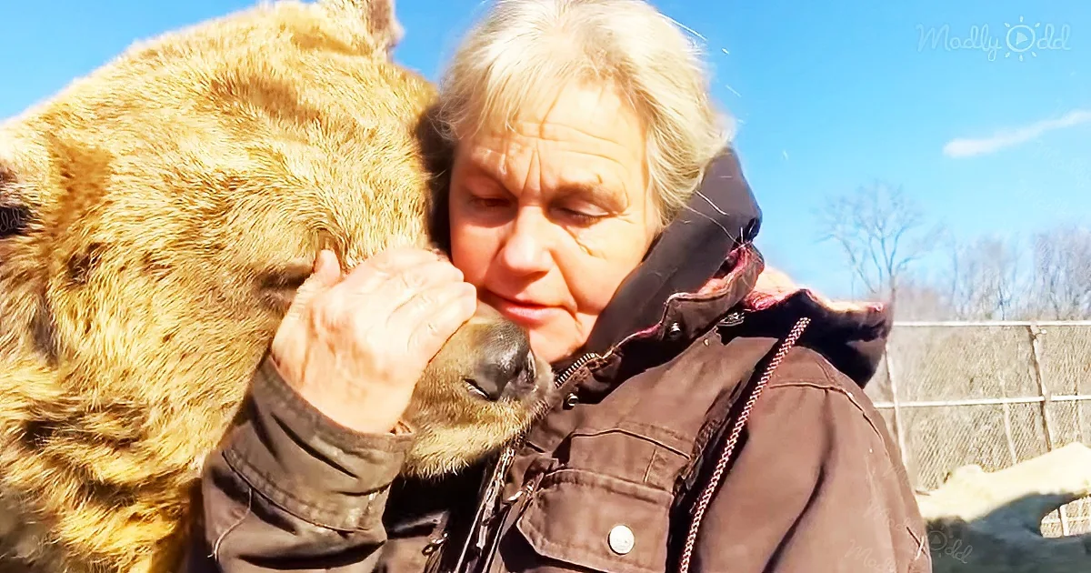 Jenny the Bear cuddles a woman who is relaxing beside her
