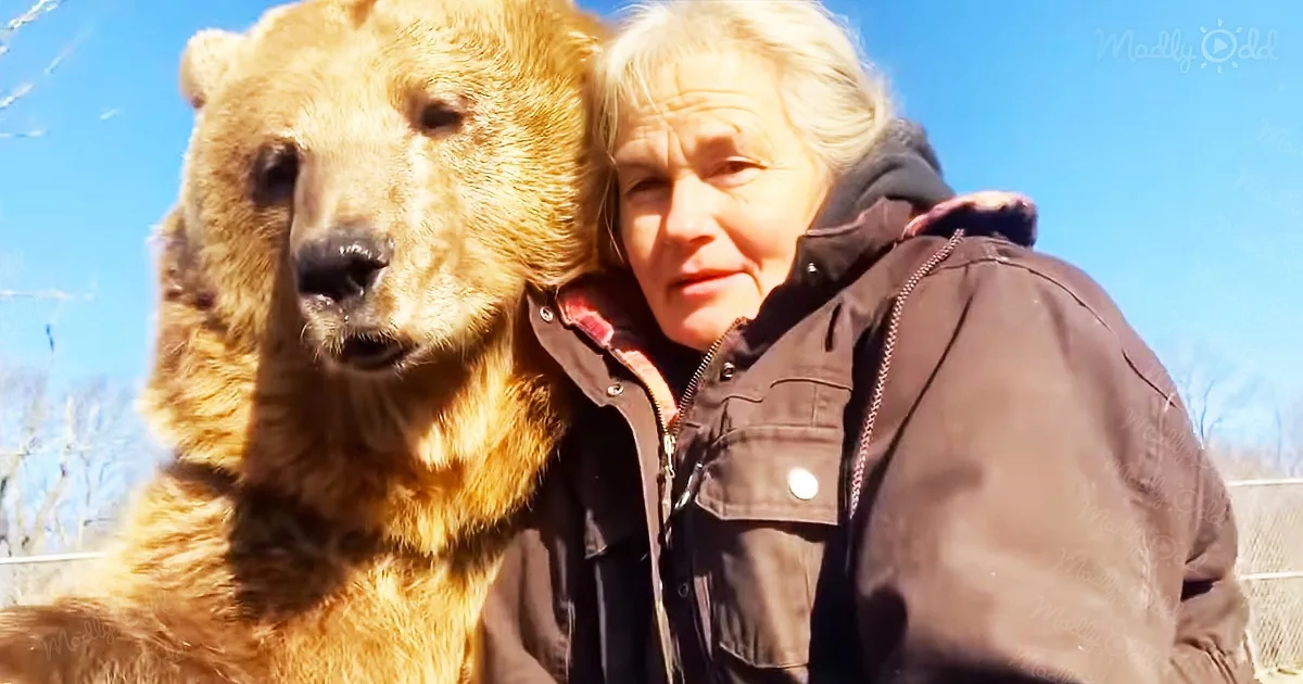 Adorable Bear Cuddles With Woman Sitting Beside Her