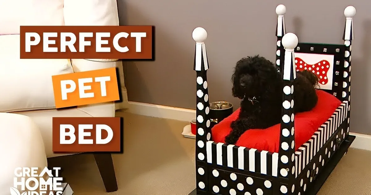 Woman Turns Old Table Into a Fancy New Dog Bed