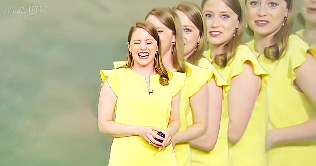 A Meteorologist Can't Stop Laughing When the Screen Starts to Glitch