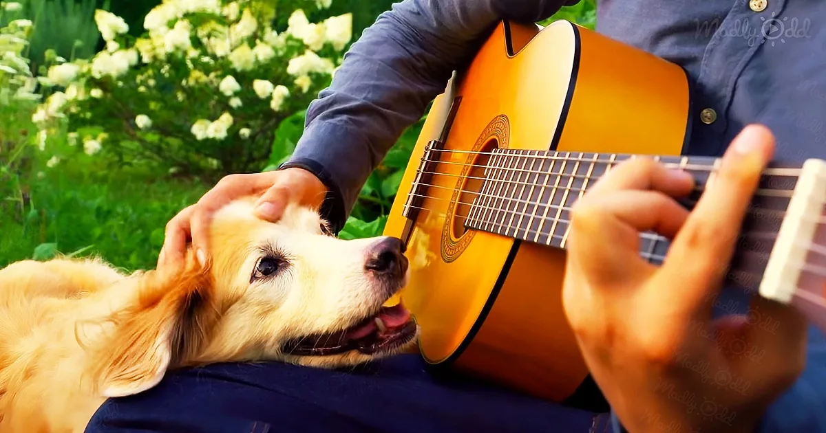 Musician and his beloved dog say farewell as he plays guitar