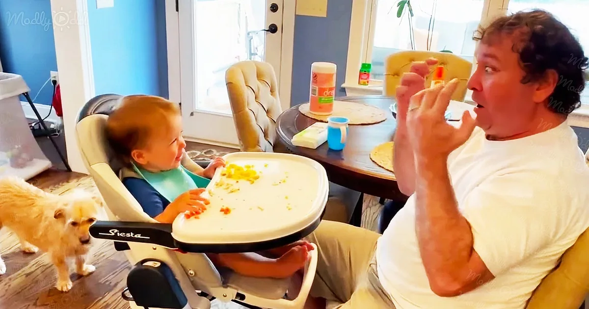 This is how you make your baby laugh using Jedi power