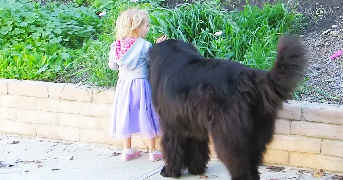 A young girl in a purple dress stands next to a large black dog on a sidewalk near a garden.