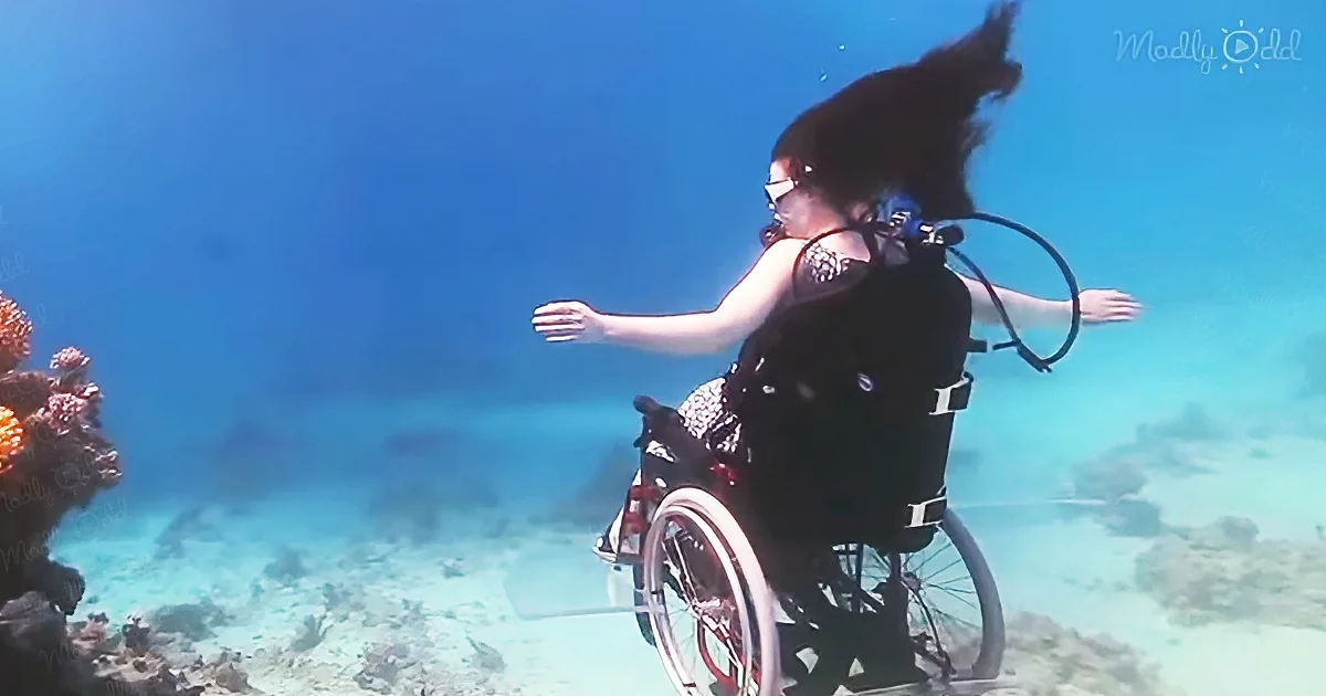 British artist with underwater wheelchair