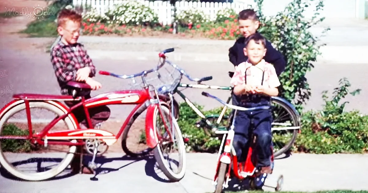 The 1950s life in color