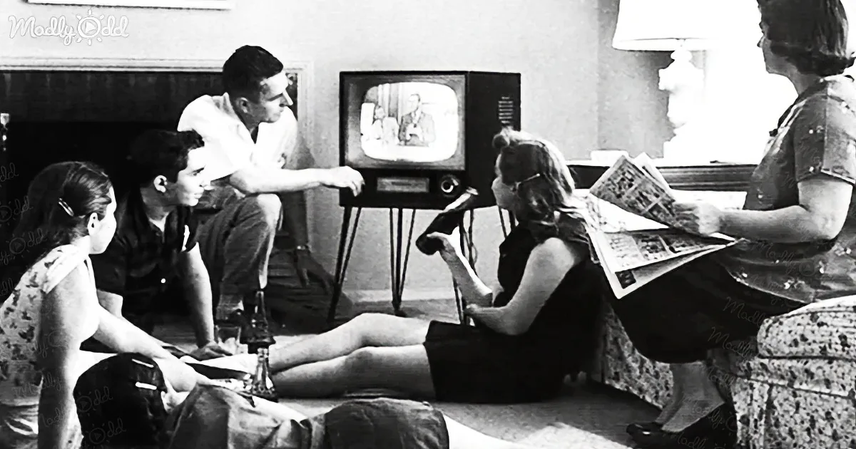 Daily Life and popular culture of the 1950s
