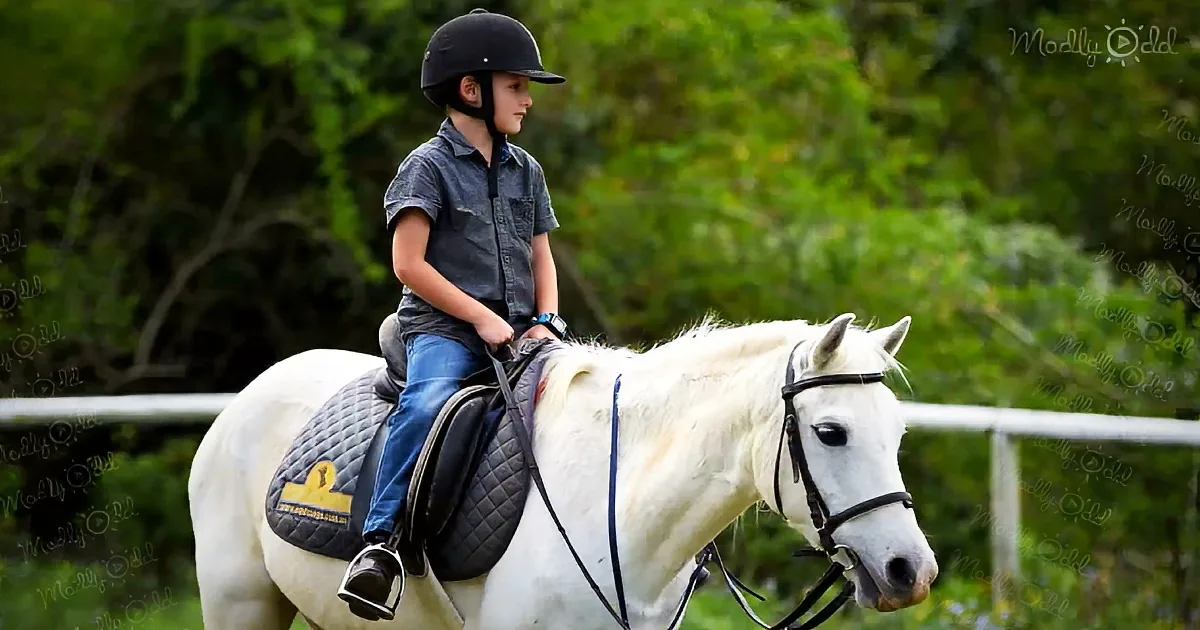 Boy saves thousands to buy a pony