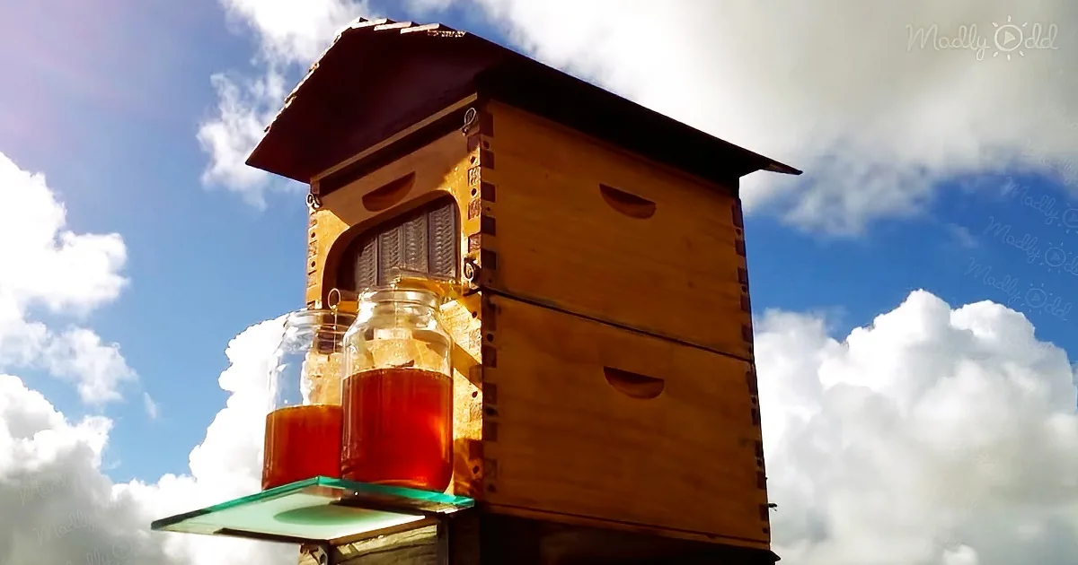 Honey on tap