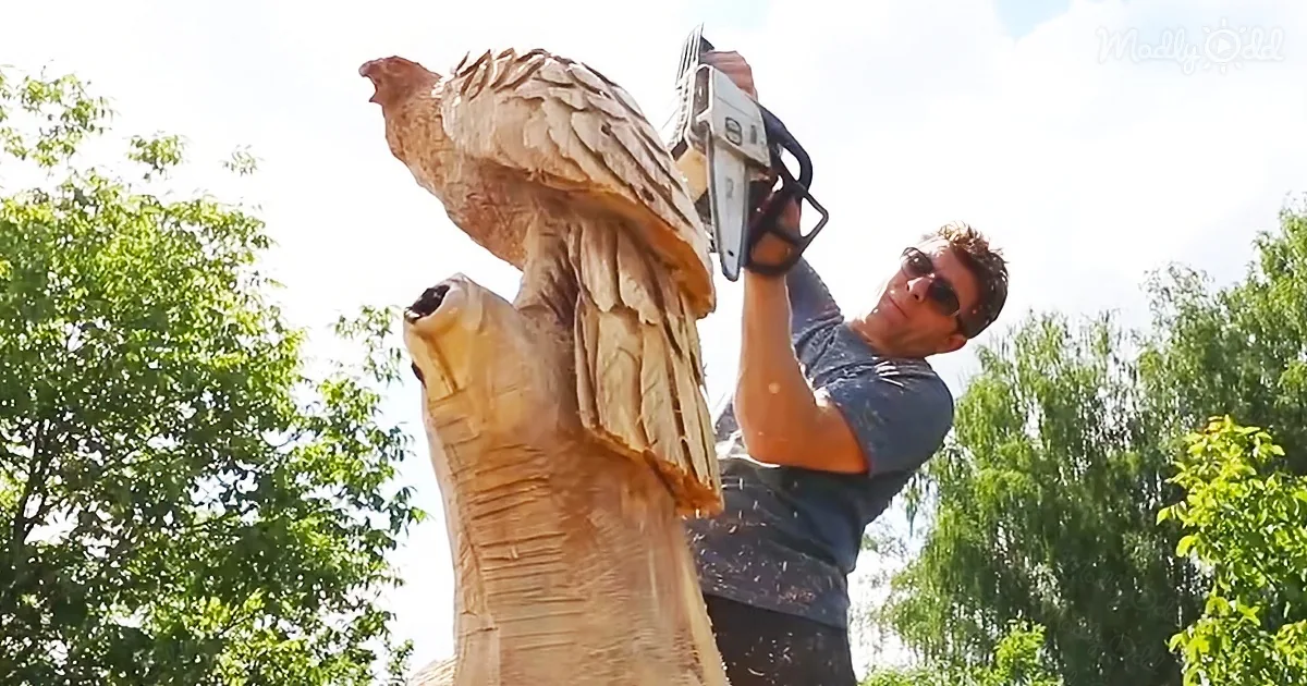 Talented Artist Carves a Statue of Wooden Eagles Using a Chainsaw