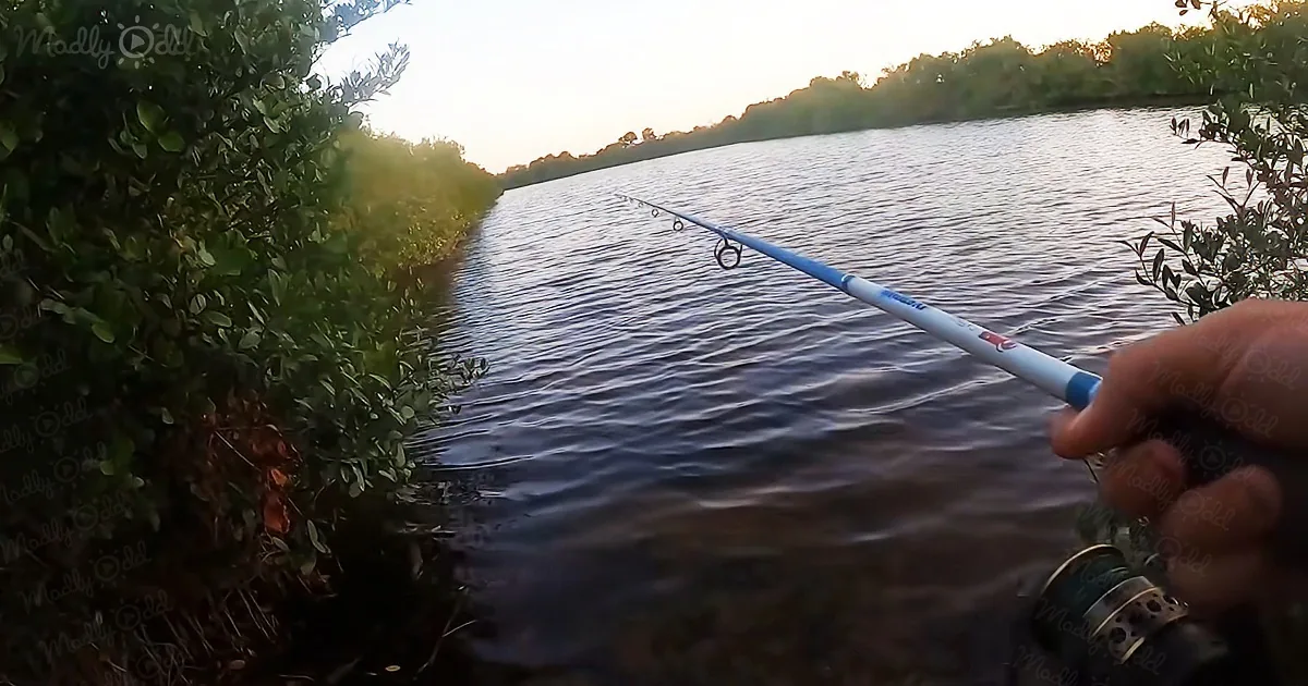 Fisherman Flees When a Monster Suddenly Emerges From the Water