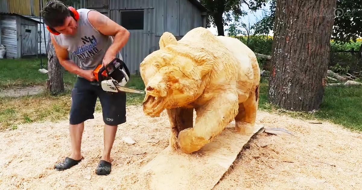 Wood Carver Sculpts Amazing Life-Like Wooden Bear With Chainsaw