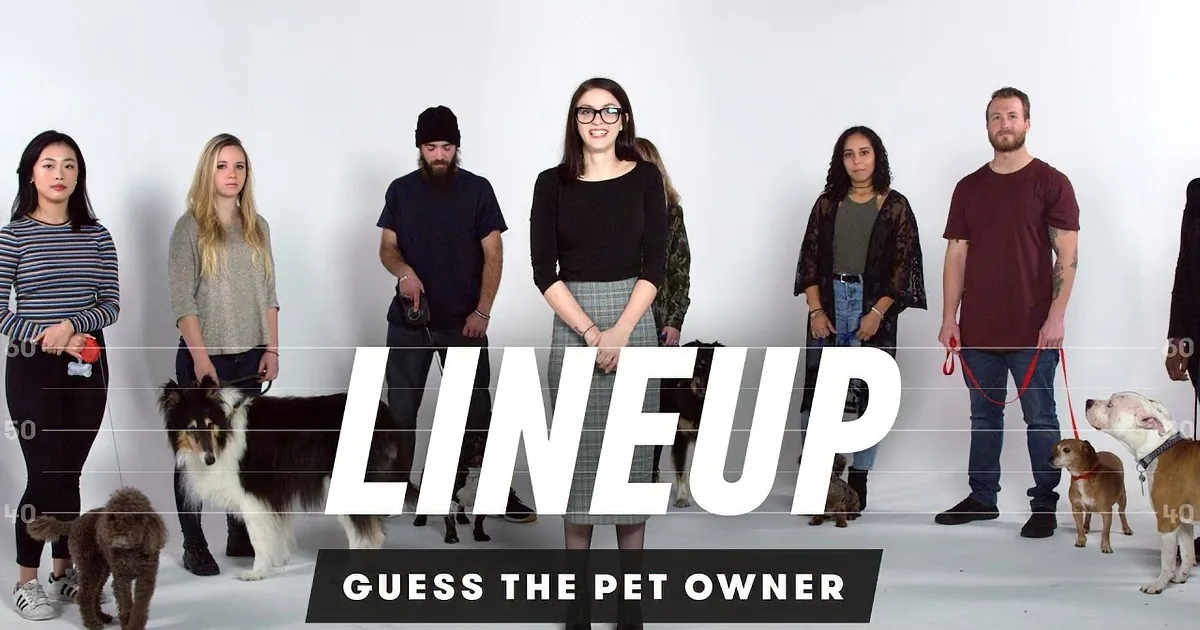 3 Strangers Try to Match Dogs With Their Proper Owners