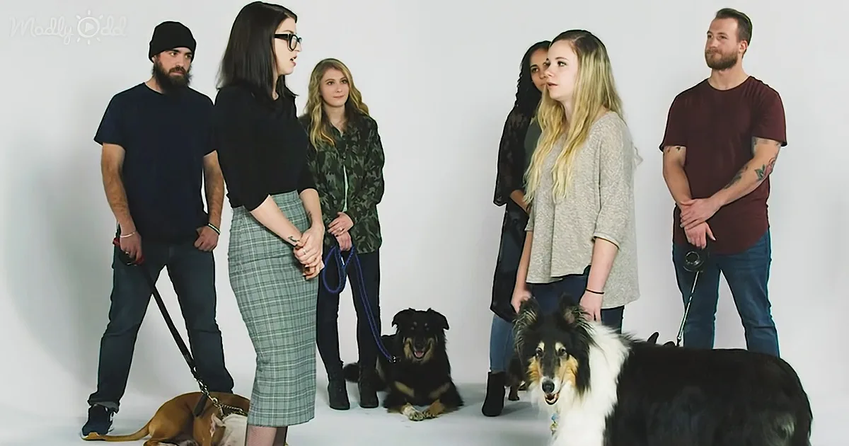 match dogs with their owners