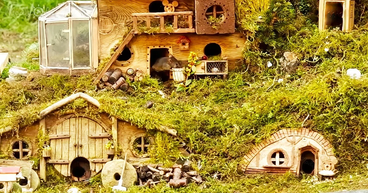 Man Builds Incredible Hobbit-Style Village for Mice in His Garden