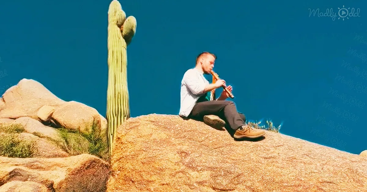 Native American flute version ‘Let it Be’
