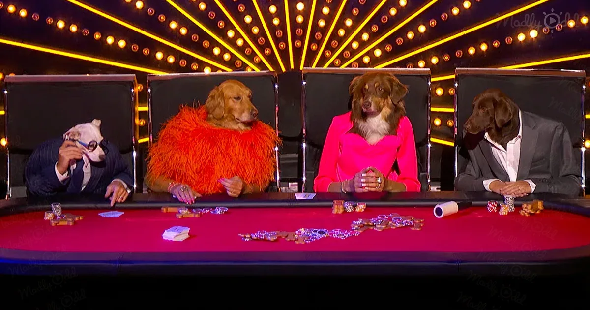 Four dogs in human-like attire sit at a poker table with chips, mimicking a casino scene.