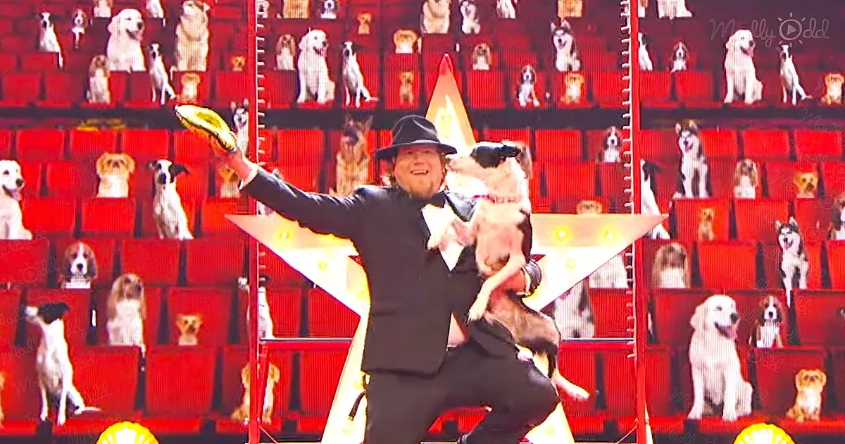 A man in a suit holds a dog, celebrating on stage with a golden trophy, surrounded by a backdrop of dog images.