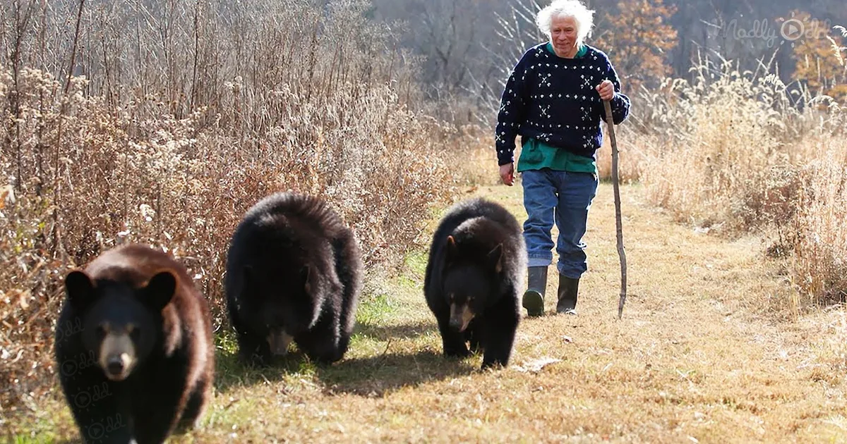74-Year-Old Man Loves to Take Hikes With the Bears He Rescues
