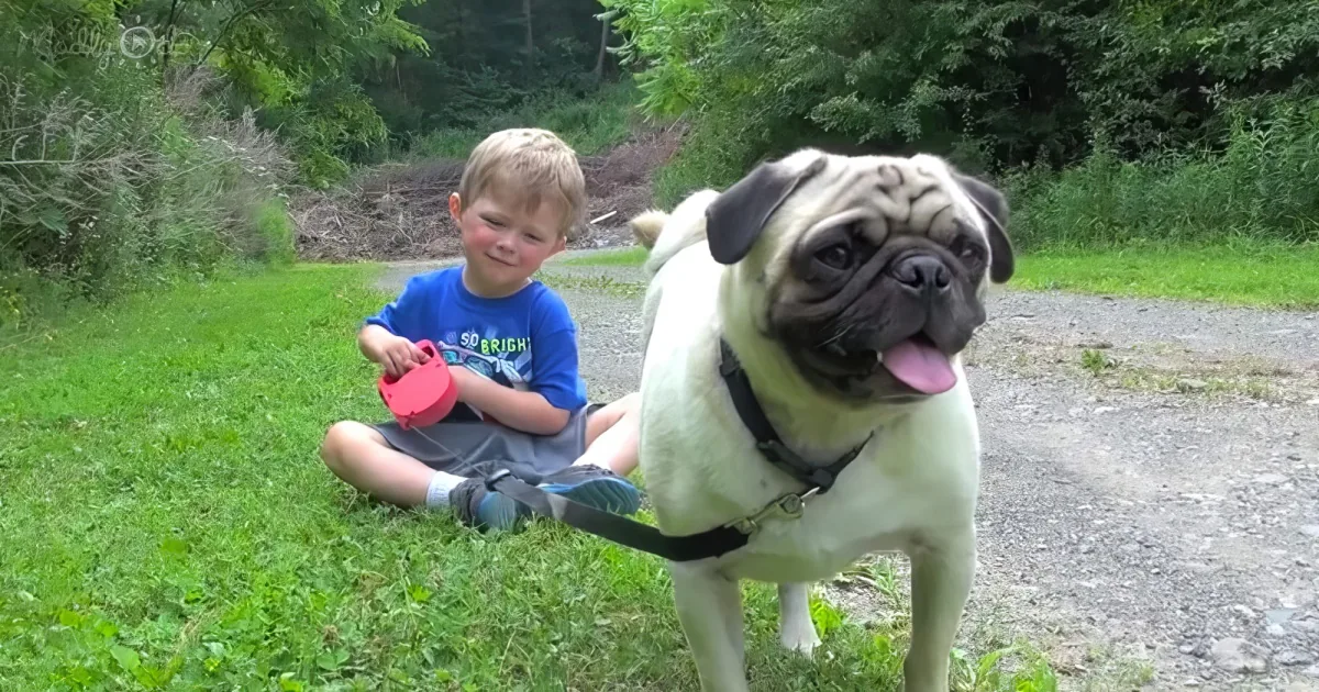Little boy walking his dog
