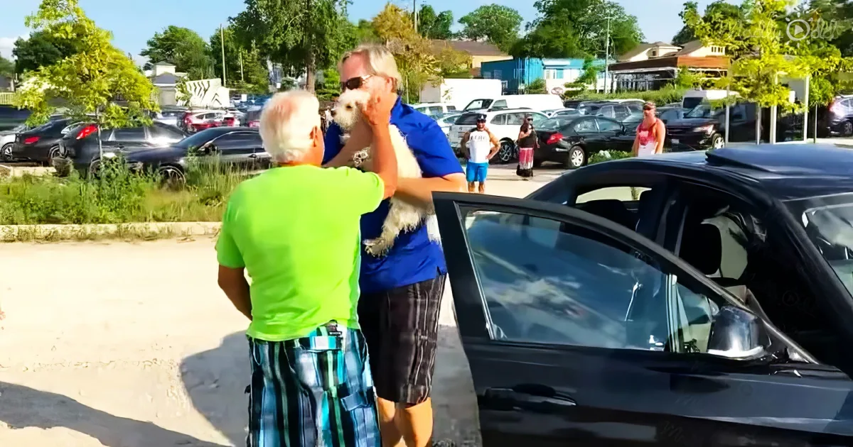 Man rescue a poor dog trapped inside a black BMW