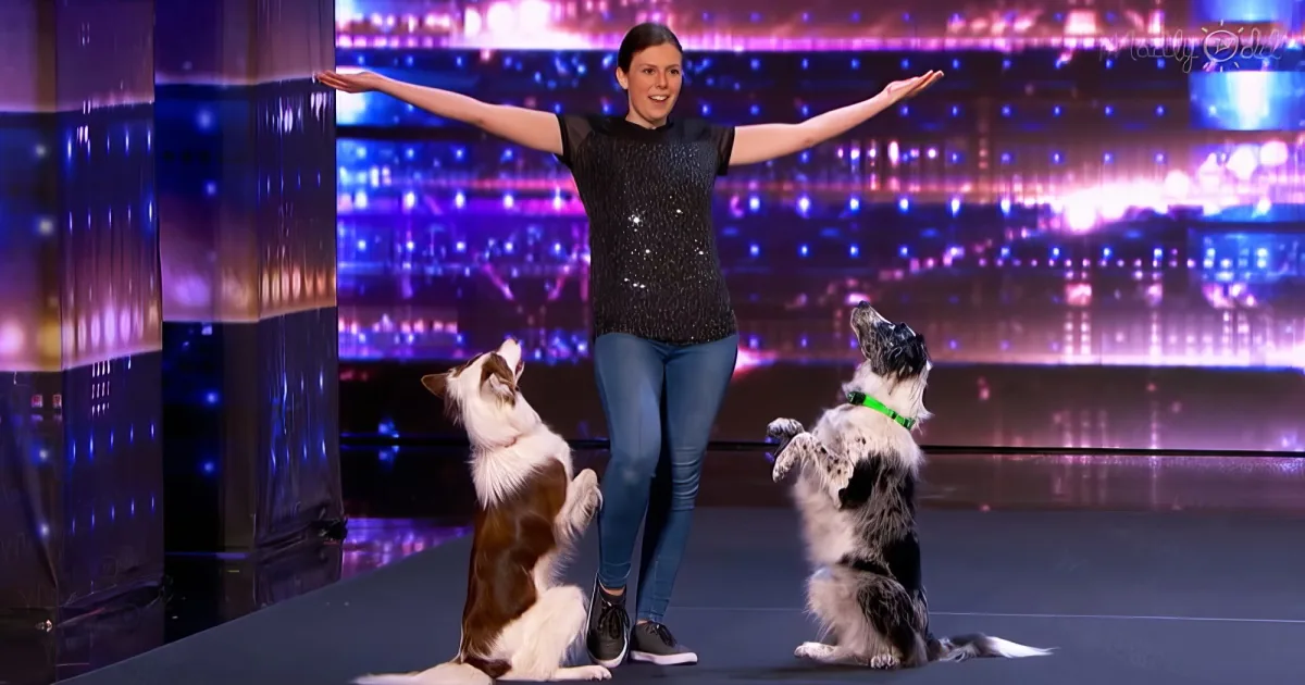 Alexandra Cote and her clever dogs on AGT