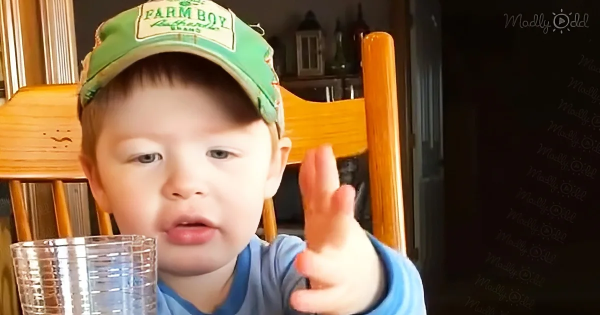 Hilarious Toddler Shows How to Give Directions in the Country