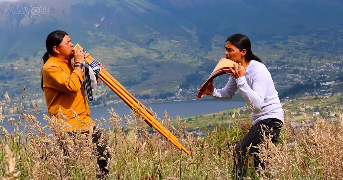 Wuauquikuna covers ‘The Sound of Silence’ with Pan flute