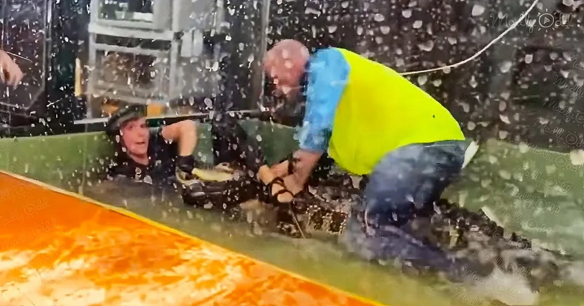 Brave Dad Wrestles Angry Alligator Attacking Handler at Kids' Party