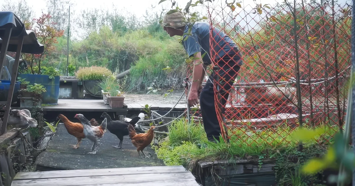 man has been living off-grid on an island he built himself